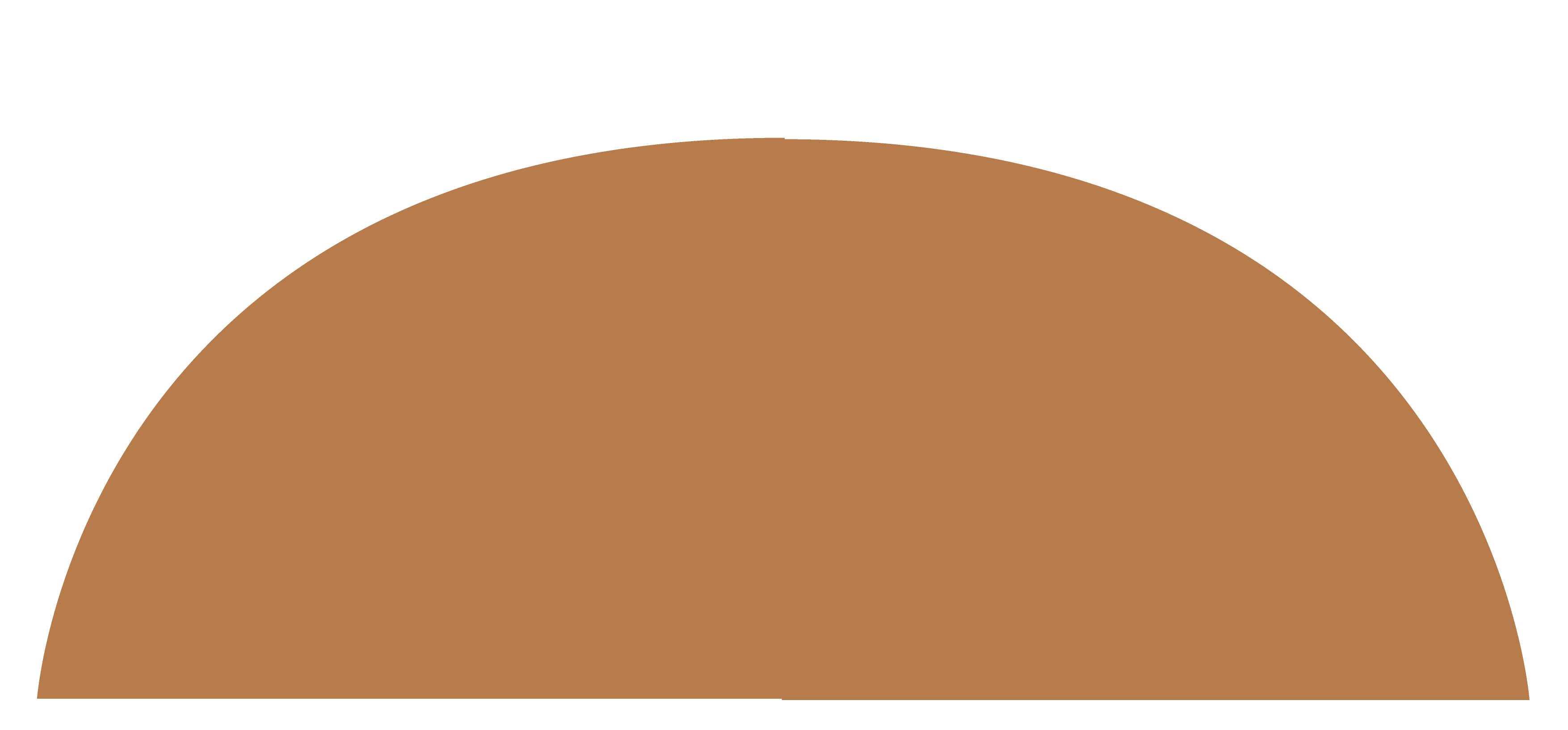 cabochon quality standards-09