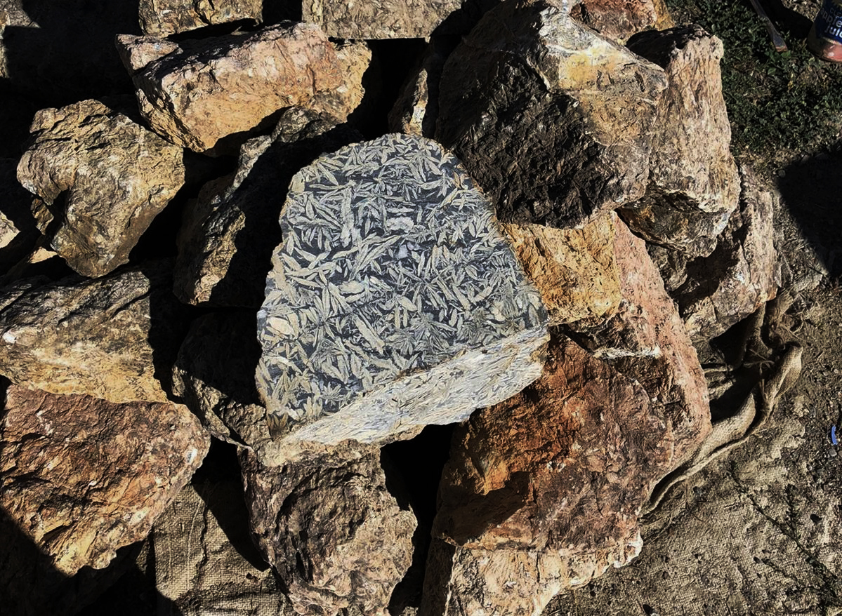 Canadian pinolite b Canadian Pinolite rough cut