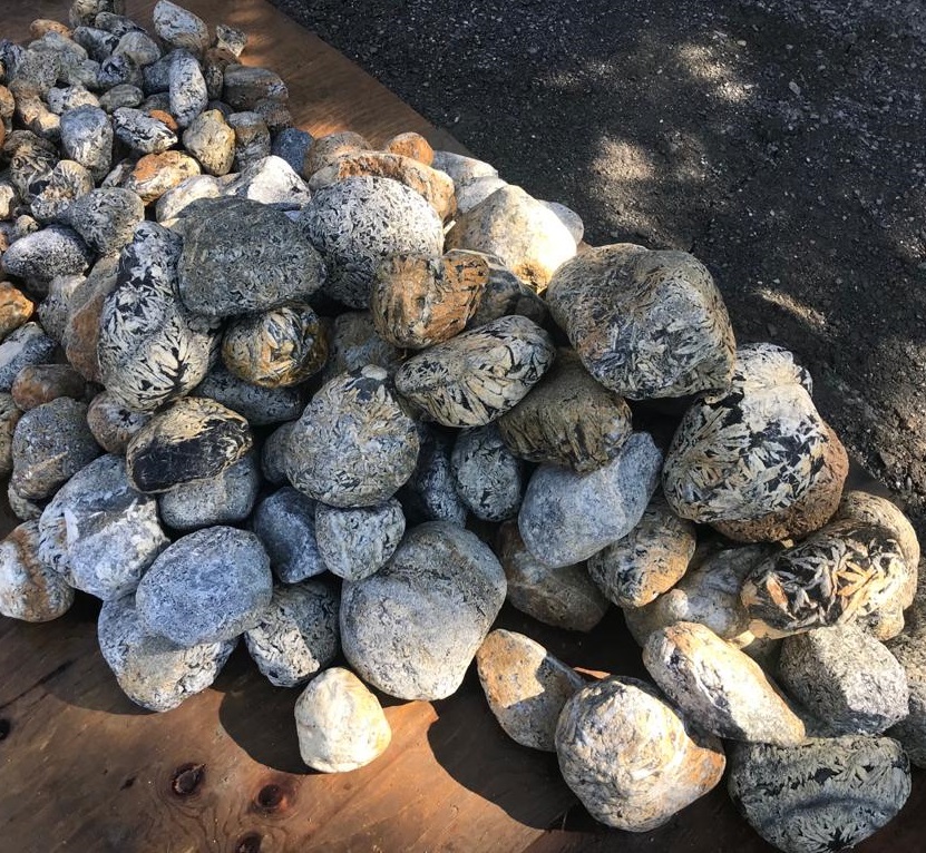 Pinolite placer stone Canadian pinolite rough placer stone