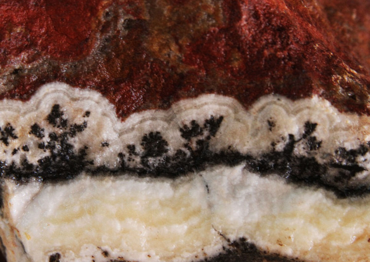 Pink Aragonite dendritic layer tny Canadian Pinolite rough cut