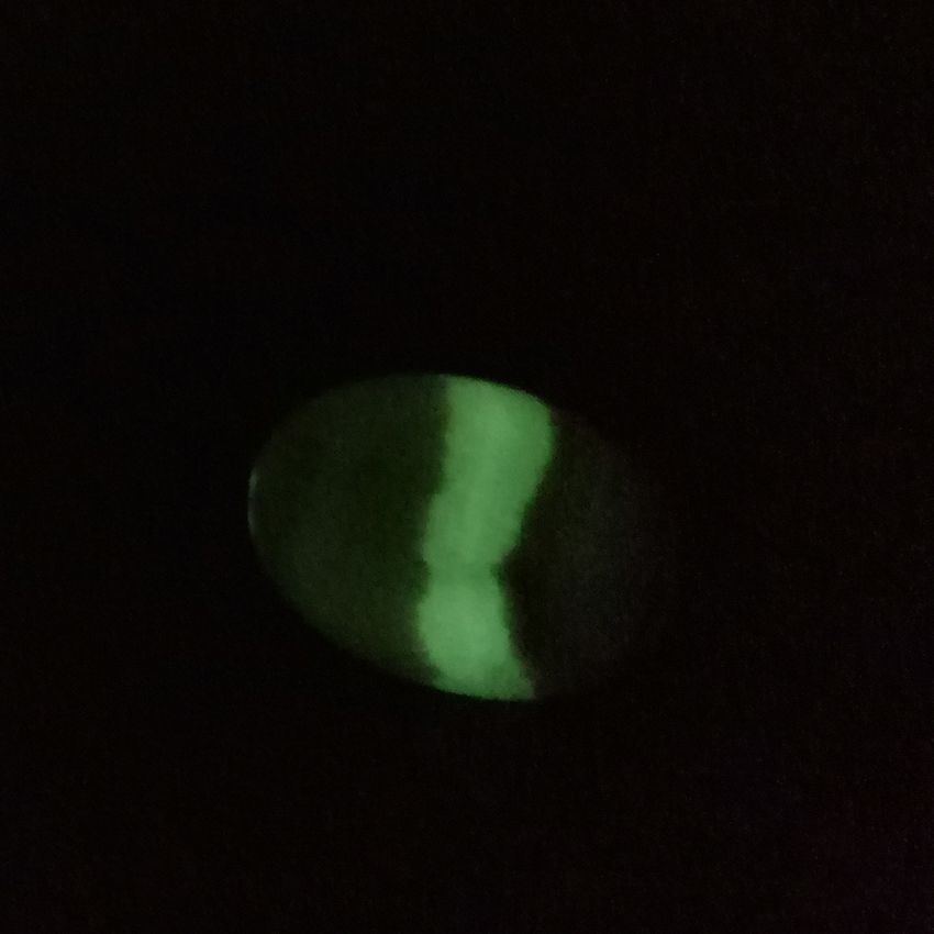 coati aragonite worry stone 02 glowing in the dark