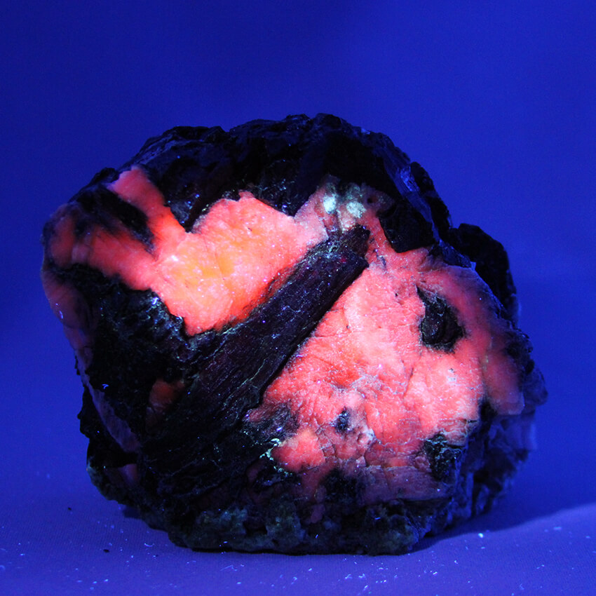 ESP057 Tourmaline crystal in calcite under UV light Unique mineral specimen of black tourmaline crystals in red fluorescent calcite - a exclusive stone of Gemrock Peru.