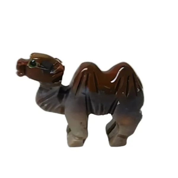 Camel