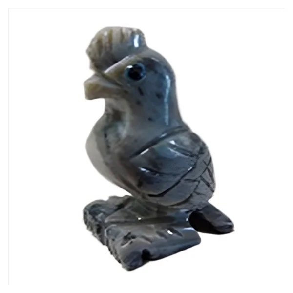 Cock of the Rock