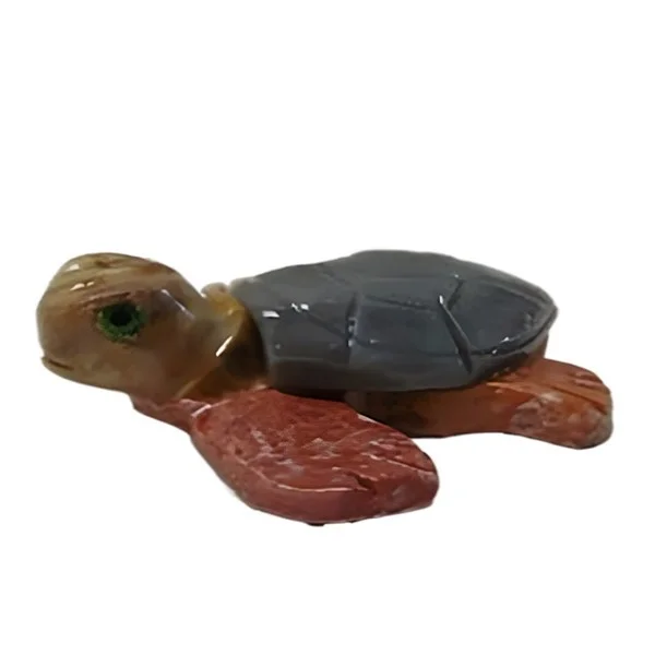 Marine Turtle