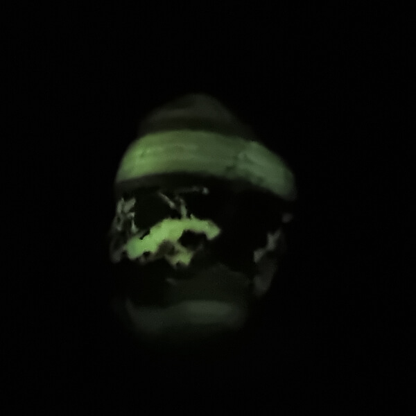 Tiger Aragonite egg ethical crystals Gemrock 04d phosphorescent