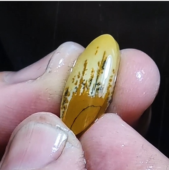 Owyhee Jasper Cabochon lapidary cutting service Gemrock top-quality premium cutting