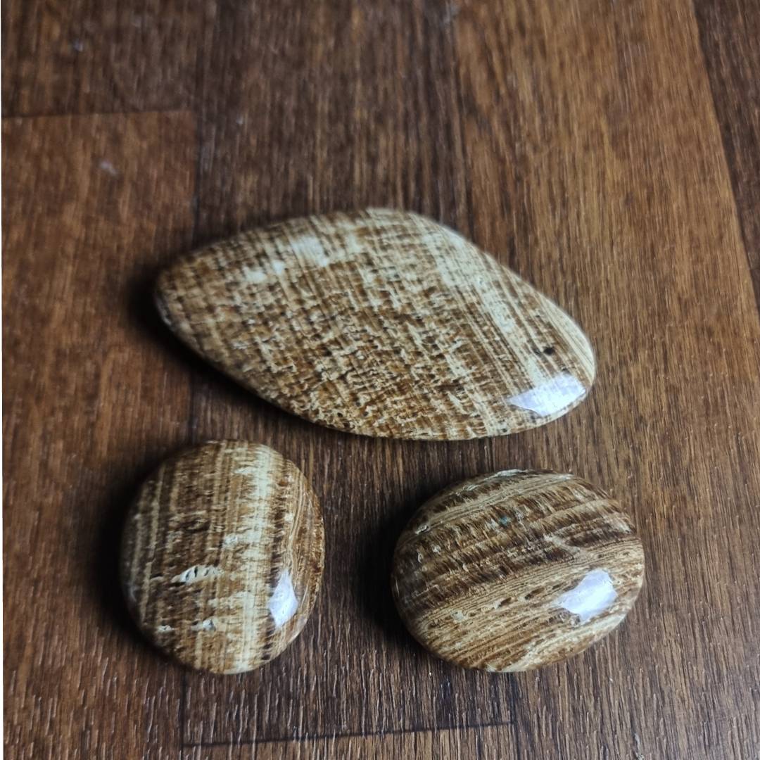 Aragonite palmstones clearance sale offer