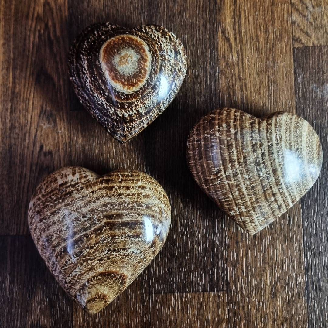 hand-made aragonite hearts clearance sale offer