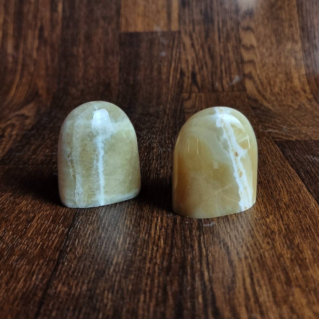 tongue-shaped coati aragonite free-forms clearance sale offer