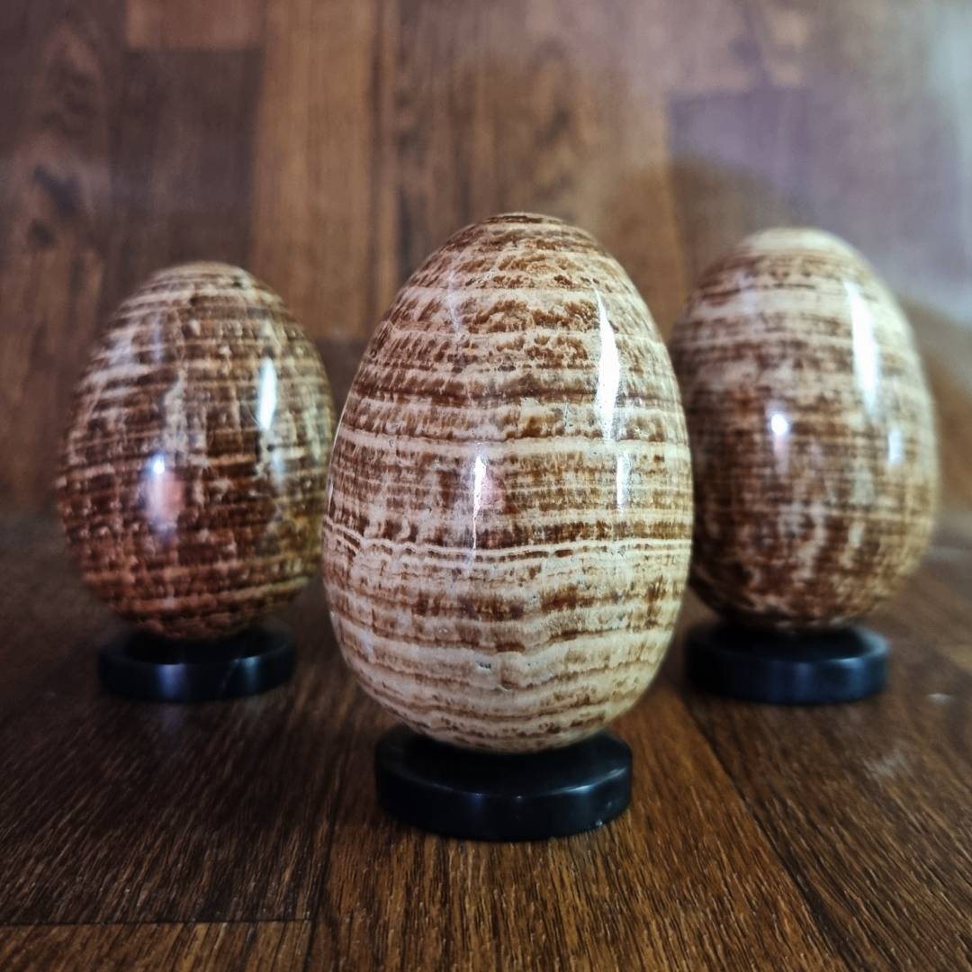 Aragonite egg Clearance sale offer