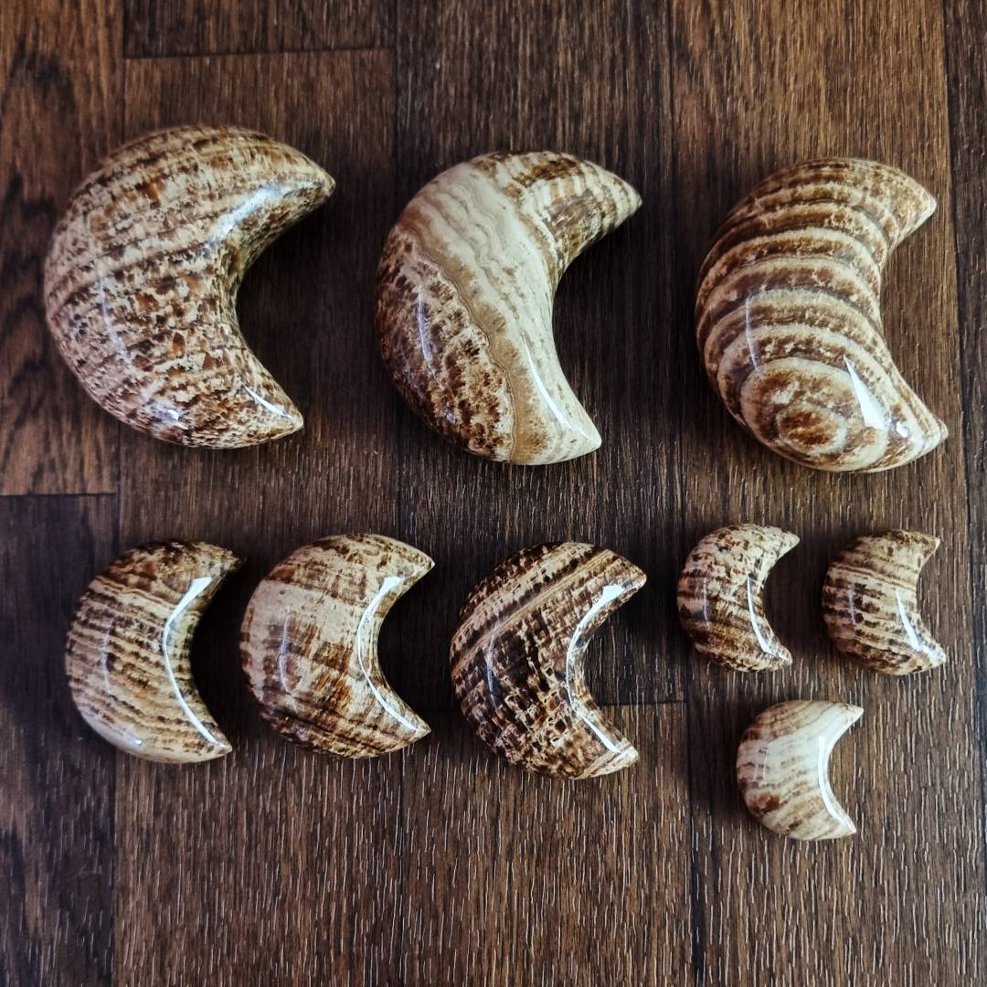 Aragonite moons clearance sale offer