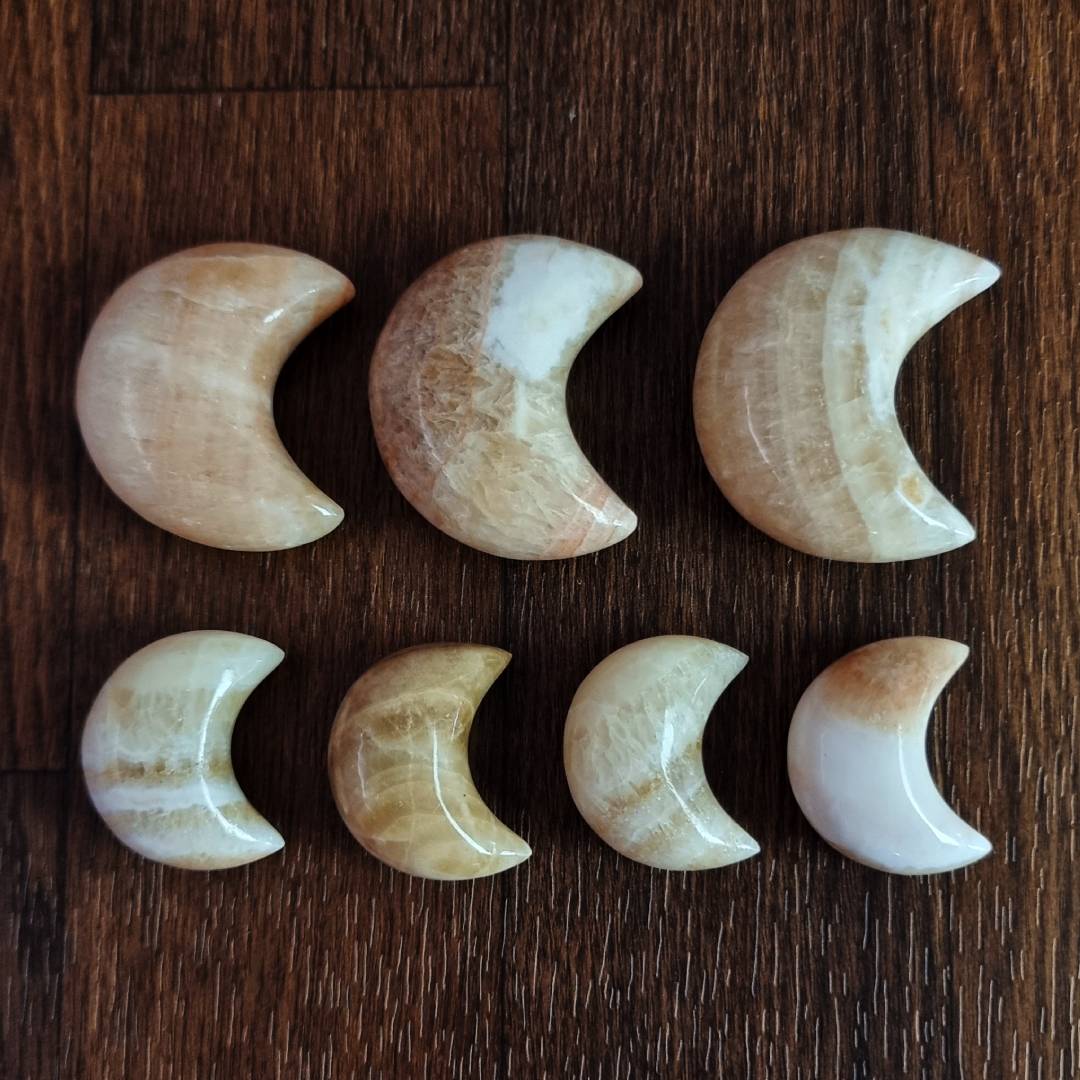 coati aragonite moons clearance sale offer